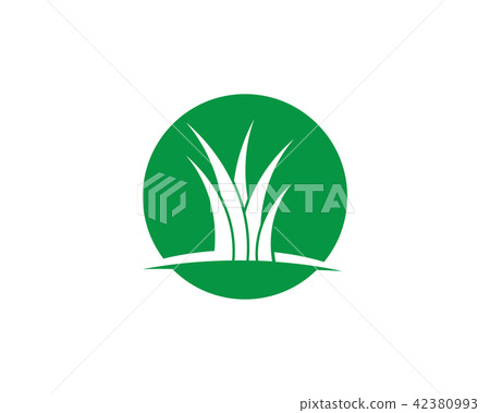 Vector green grass illustration 42380993