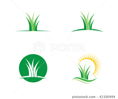 Vector green grass illustration 42380994