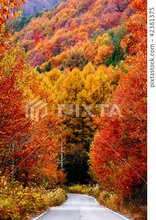 Impression of autumn 42381375