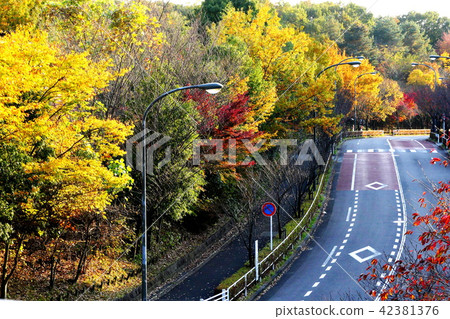 Impression of autumn Impression of autumn 42381376