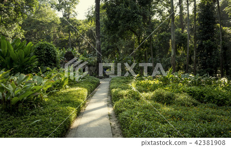 Parque lage in Rio de Janeiro, Brazil 42381908