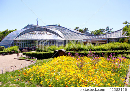 [京都]京都府植物園溫室和花壇 42382136