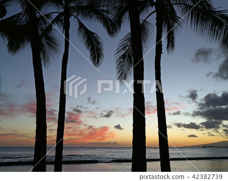Waikiki Beach at dusk. 2018/4/23 Waikiki Beach at dusk. 2018/4/23 42382739
