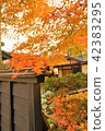 Autumn leaves of samurai residence 42383295