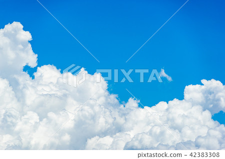 雲蓋 42383308
