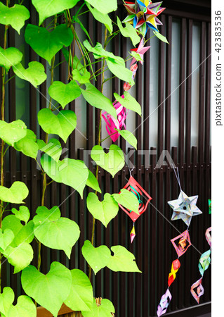 Landscape story Landscape story 42383536