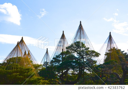 雪飛（Kenrokuen / Ishikawa kanazawa shi） 42383762