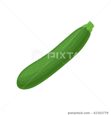 Fresh marrow squash or zucchini. Ripe green vegetable. Natural and healthy food. Ingredient for 42383779