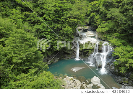 偉大的水神 42384623