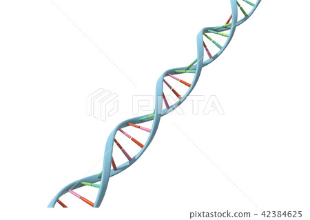 DNA, gene DNA, gene 42384625