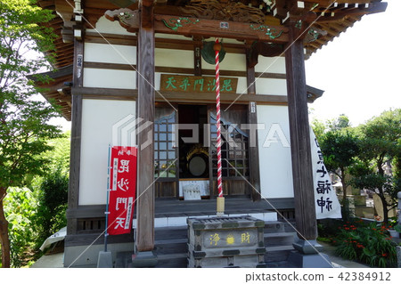 Shionogasa Shionogasa 42384912