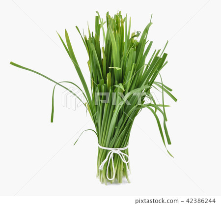 Chinese chives, Garlic chives isolated 42386244