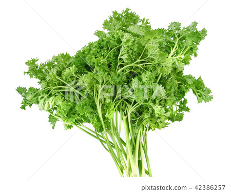 Parsley isolated on white background Parsley isolated on white background 42386257
