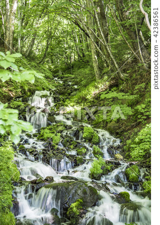 [清水瀑布] 42386561