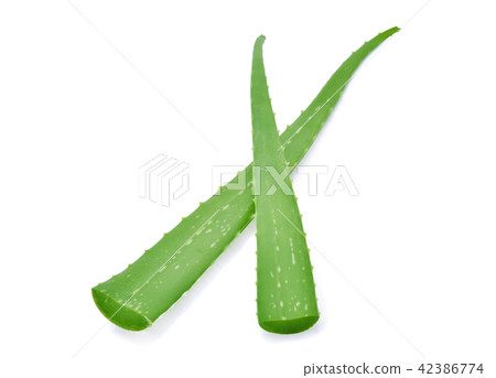 Aloe vera fresh leaf on white Aloe vera fresh leaf on white 42386774