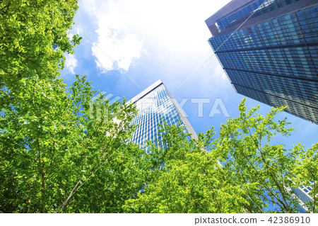 許多綠色辦公室街道風景 許多綠色辦公室街道風景 42386910