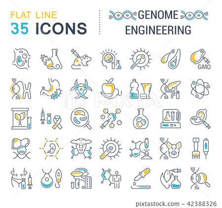 Set Vector Line Icons of Genome Engineering. 42388326