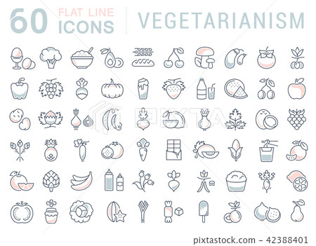 Set Vector Flat Line Icons Vegetarianism - Stock Illustration [42388401 ...