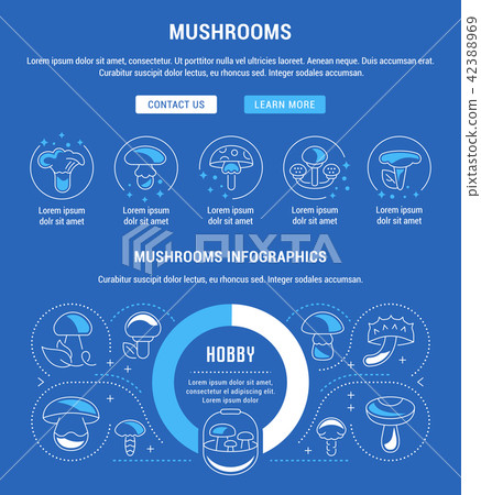 Website Banner and Landing Page of Mushrooms. Website Banner and Landing Page of Mushrooms. 42388969
