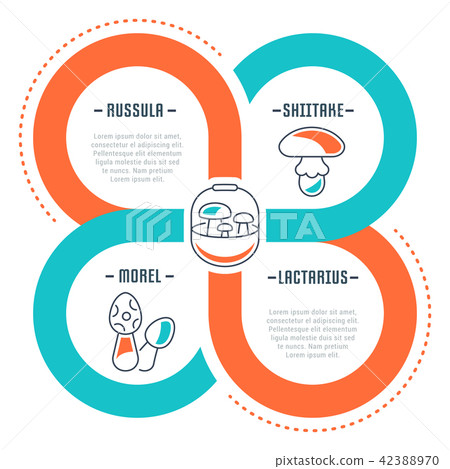 Website Banner and Landing Page of Mushrooms. 42388970