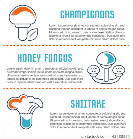 Website Banner and Landing Page of Mushrooms. Website Banner and Landing Page of Mushrooms. 42388973