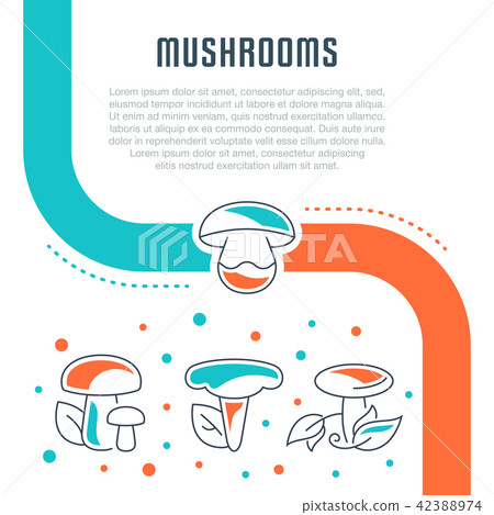 Website Banner and Landing Page of Mushrooms. 42388974