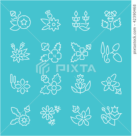 Set of Line Icons of Herbs. - Stock Illustration [42390468] - PIXTA