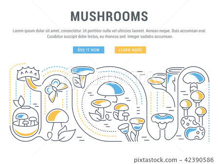 Website Banner and Landing Page of Mushrooms. 42390586