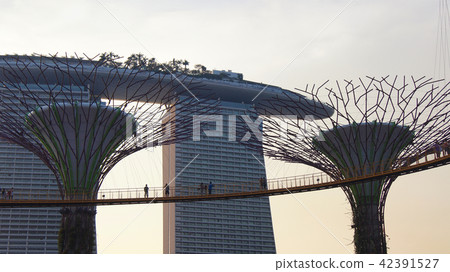 SINGAPORE - APR 3rd 2015: The Supertree at Gardens by the Bay and luxury hotel Marina Bay Sands in SINGAPORE - APR 3rd 2015: The Supertree at Gardens by the Bay and luxury hotel Marina Bay Sands in 42391527