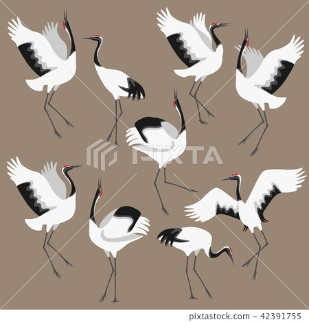 Red-crowned Cranes Set 42391755