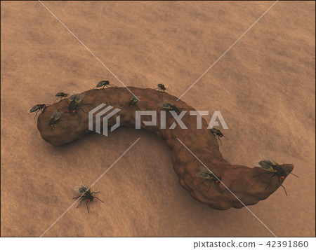 flies 42391860
