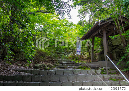 Hachimanzan Castle Honmaru up climb stick door Hachimanzan Castle Honmaru up climb stick door 42391872