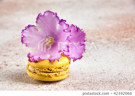 Yellow macaroon and flower violet on concrete  42392068