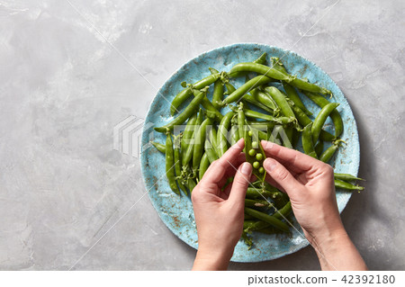 Female hands open young pea sticks. Natural green vegetables for cooking healthy food on a gray Female hands open young pea sticks. Natural green vegetables for cooking healthy food on a gray 42392180