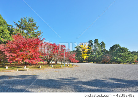 Autumn colored Kyoto garden Autumn colored Kyoto garden 42392492
