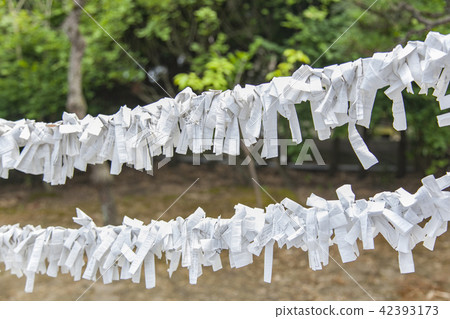 Omikuji Omikuji 42393173