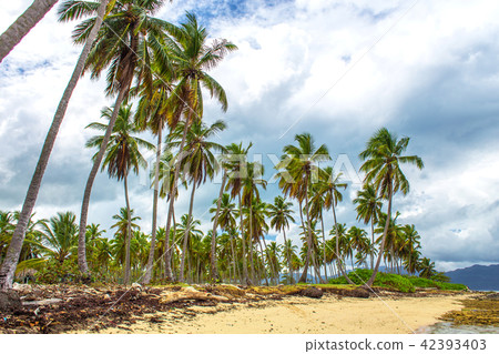 Tropical beach and grey sky Tropical beach and grey sky 42393403