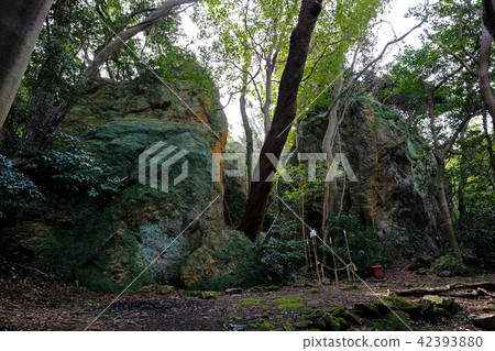 Tateishi Shrine的Basho 42393880