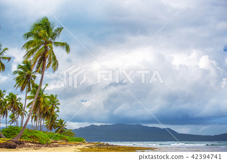 Cloudy weather on the tropical coast Cloudy weather on the tropical coast 42394741