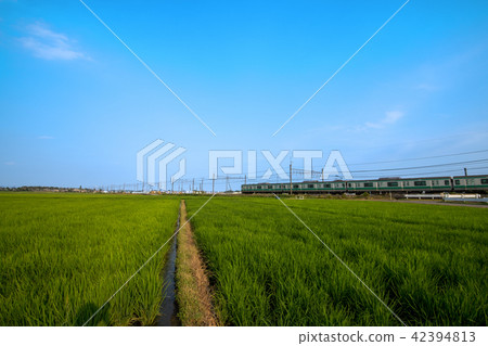 Rural scenery near JR Kawagoe line Minami Furuya station Rural scenery near JR Kawagoe line Minami Furuya station 42394813