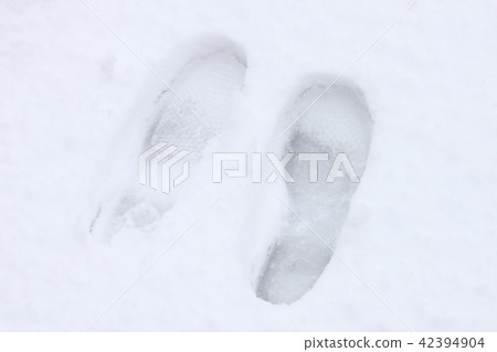 Footprint of Snow Footprint of Snow 42394904