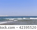 Sea, Samcheok, Gangwon-do 42395520