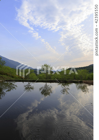 Pond, Tongdosa, Yangsan, Gyeongnam 42395550