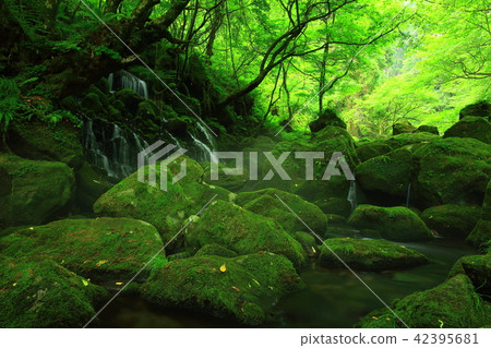 Summer former waterfall underwater water 42395681