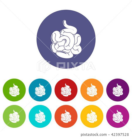 Small intestine icons set vector color 42397528
