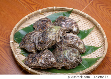 Rock oyster ingredients Rock oyster ingredients 42398413