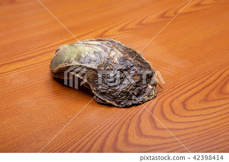 Rock oyster ingredients Rock oyster ingredients 42398414