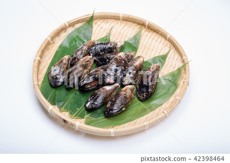 貽貝食品 42398464