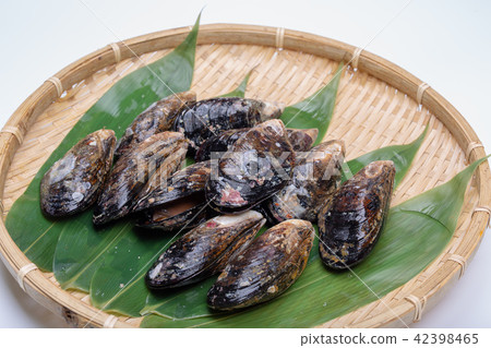 貽貝食品 42398465