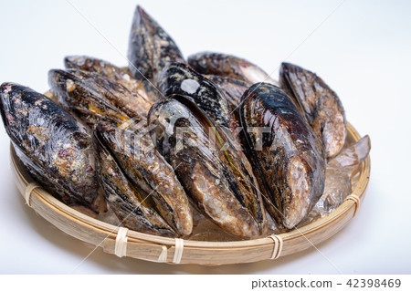 Mussel Foodstuff 42398469